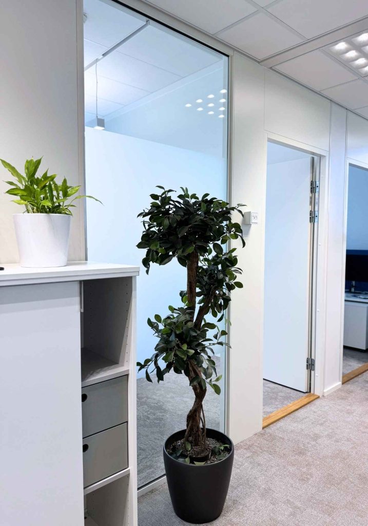 Valoisa pääkonttorin käytävä, jossa lasiseinät on teipattu tuomaan näkösuojaa ja viihtyisyyttä.